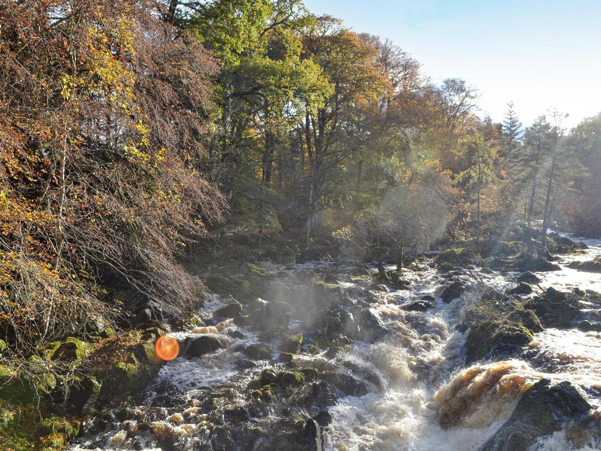 Toll Bridge Lodge Banchory Buitenkant foto