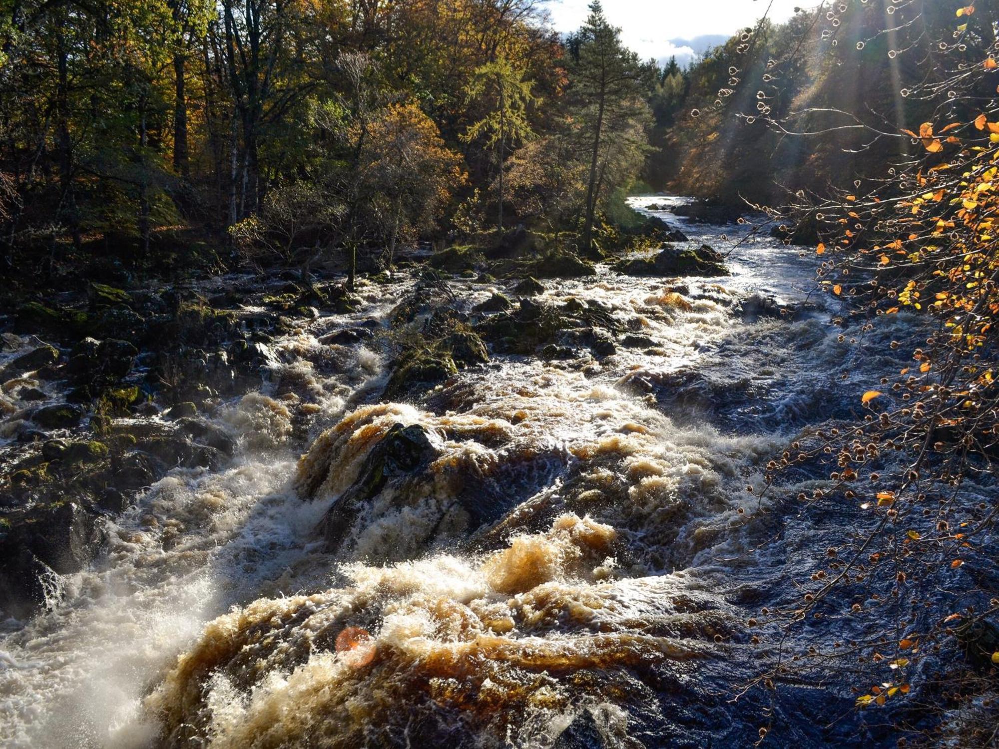 Toll Bridge Lodge Banchory Buitenkant foto